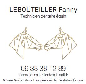 Dentiste equin fanny lebouteiller