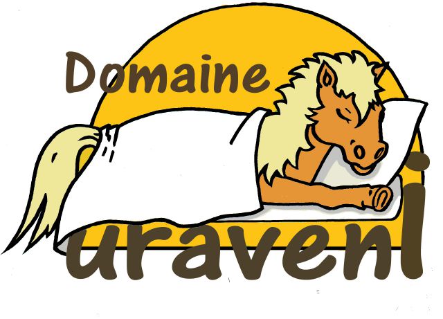 Pension chevaux,ecurie de propriétaires,domaine uraveni