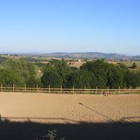 Pension chevaux
