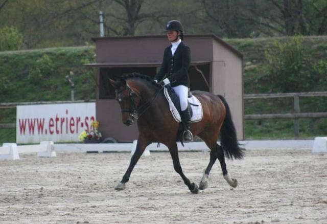 Superbe poney, pour gp dressage ou amateur