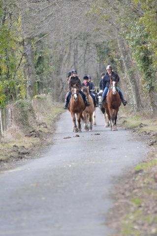 Balade randonnée à cheval 