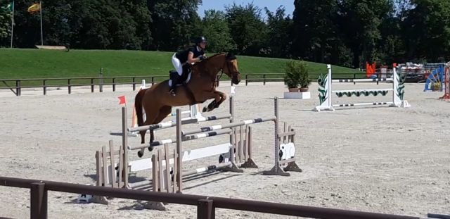 Stage de perfectionnement