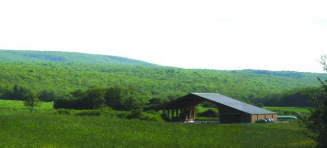 La licorne de darshan - ecurie de propriétaires