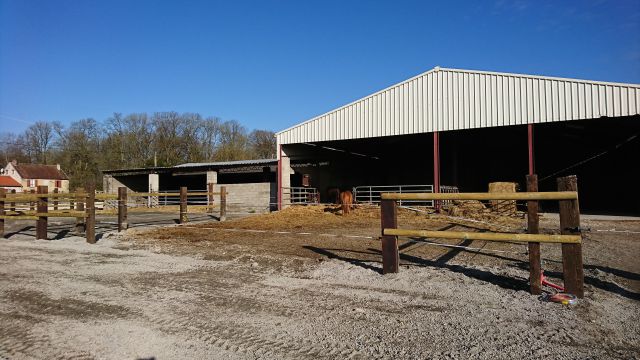 Pension chevaux - ecurie du bois breton 77
