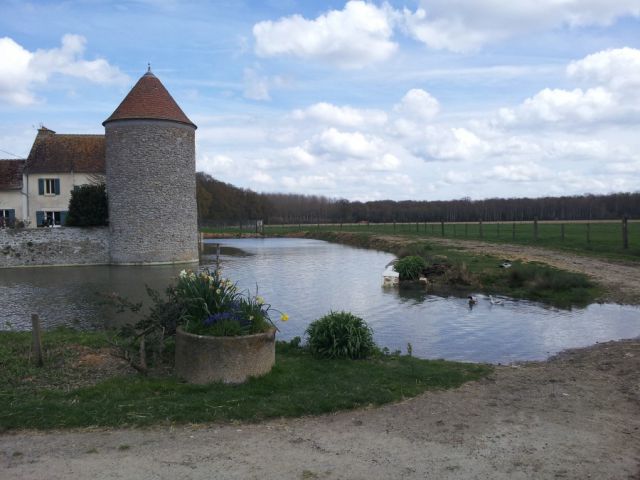 Pension chevaux - ecurie des egrefins 77