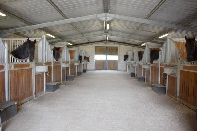 Ecurie de propriétaires haras du graffard