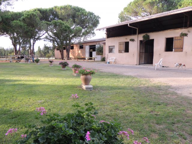 Ecurie de propriétaires proche de nîmes