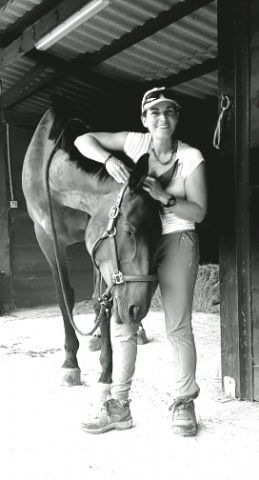 Massage & bodywork équin
