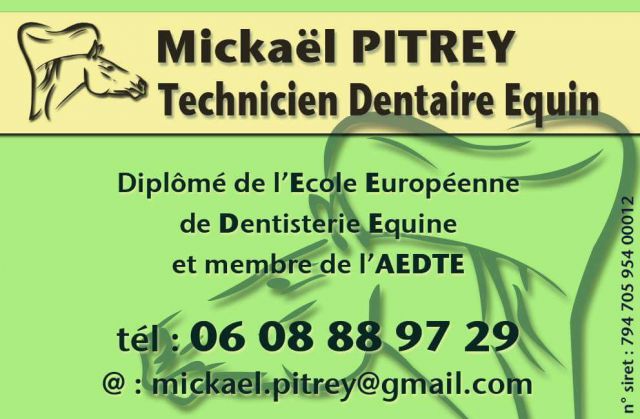Mickael pitrey - technicien dentaire equin