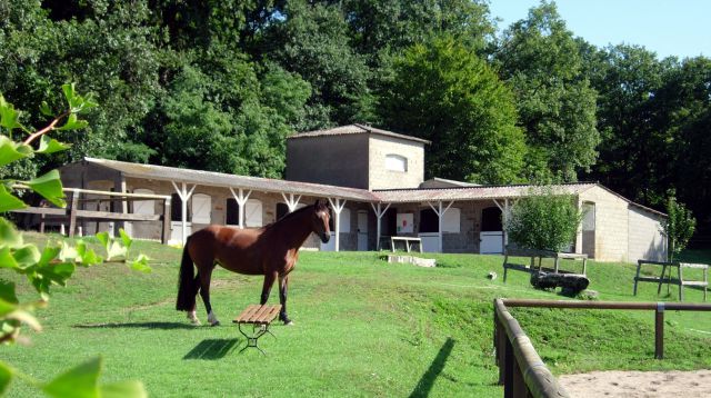 Pension de chevaux à montceau-les-mines