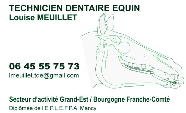 Technicien dentaire equin