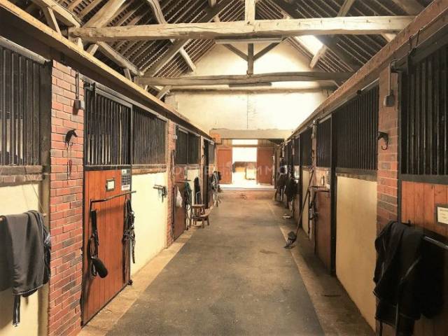 Haras et écurie privée entre normandie et ouest parisien