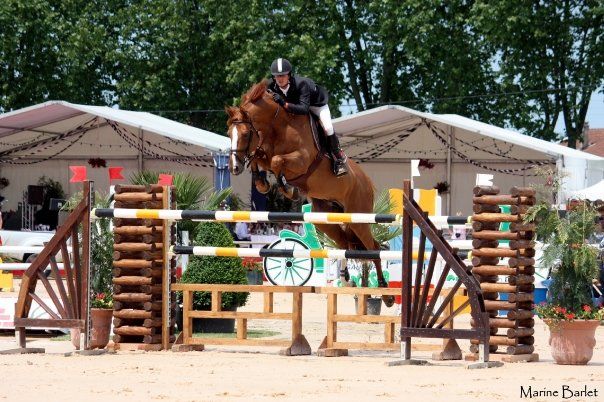 Luigi d'amaury : luigi d'amaury | sf | iso 169