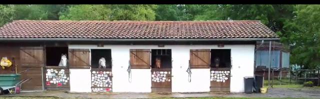 Les écuries de louchats