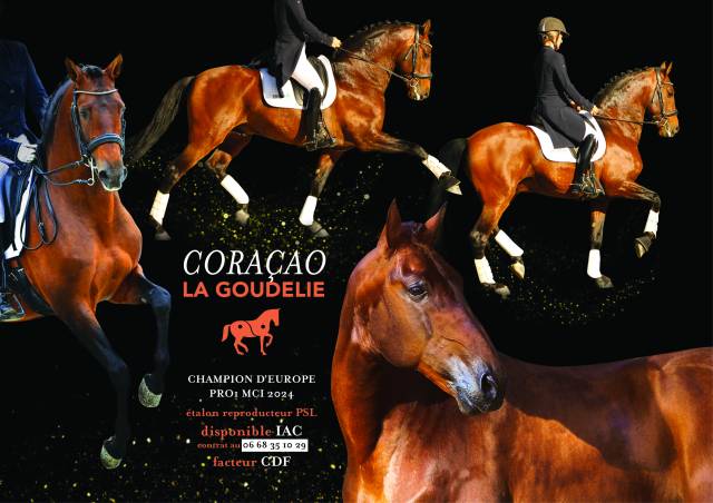 Coracao la goudelie : saillies de coraçao la goudelie