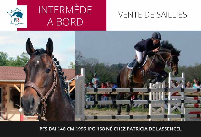 Intermede a bord : intermède a bord - pfs bai 146 cm 1996 ipo 158