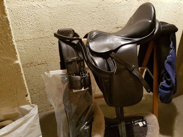 Selle stubben maestoso deluxe biomex - 2 000 euros