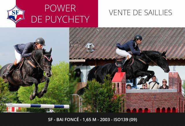 Power de puychety : power de puychety - sf 1,65m 2003 iso139 (09)