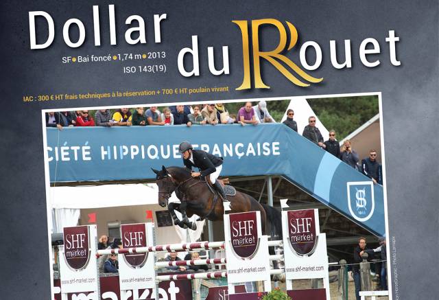 Dollar du rouet : dollar du rouet - sf bai foncé 1,74m 2013 iso 143(19)