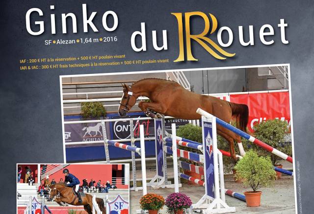 Ginko du rouet : ginko du rouet - sf alezan 1,64m 2016