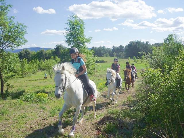 Cadenet pension chevaux domaine 30 hectares