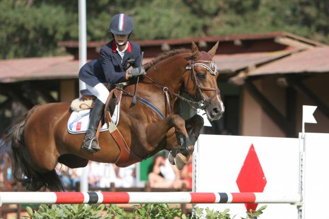 Imperial du blin  : saillie d'un etalon, performer international 