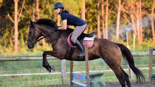 Stage derby adult perfectionnement cso et cross