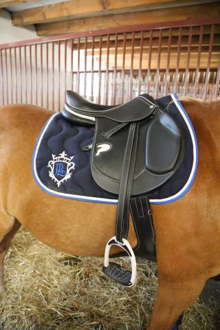 Selle privilège équitation