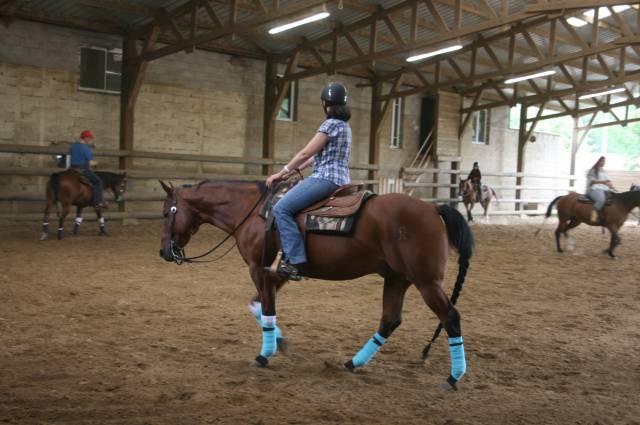 Stage d' équitation western dans les yvelines (galops)