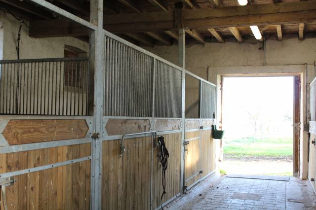 Location de boxes/ pension