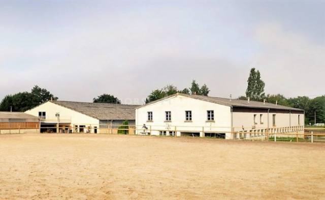 Centre équestre / poney-club / écurie de propriétaires en act