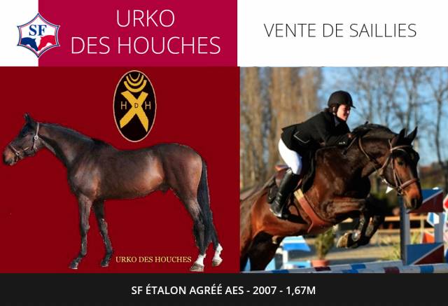 Urko des houches : urko des houches  sf  étalon saillie payement naissance