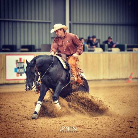 Cours d'équitation western cheval et poney + baby