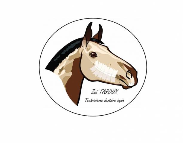 Zoé taroux technicienne dentaire équin
