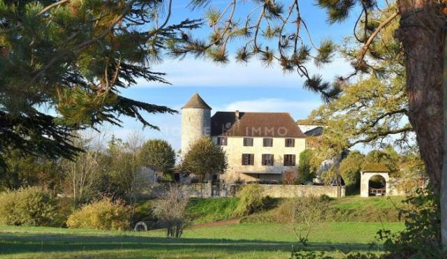 Château de 340m² sur 3.5ha à 15 min de bergerac