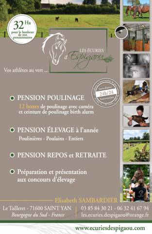 Pension retraite elevage repos convalescence soin 71