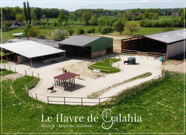 écurie active / alternative dans l'ain