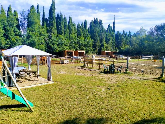 Pension chevaux - l'écurie de pablo (30)