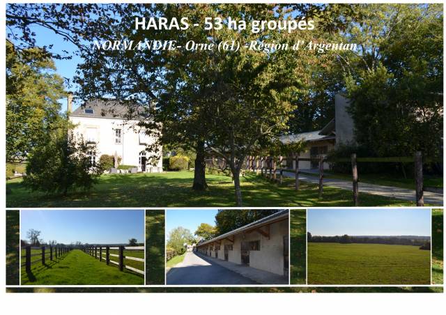 Haras - 53 ha - normandie - région argentan (orne)