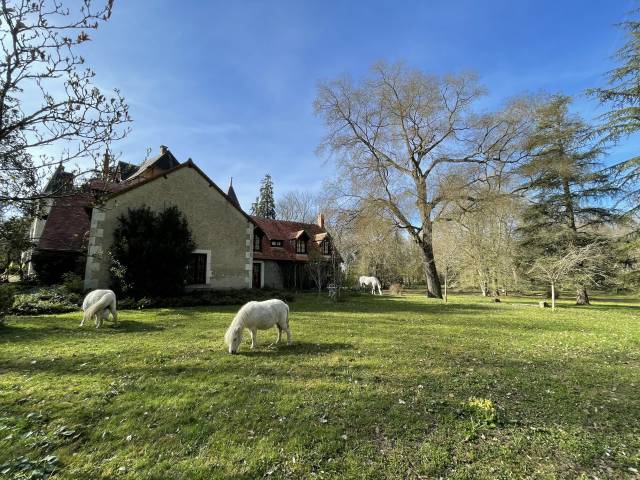 Parc de lesseps - gîte au sein d'un parc de 20ha