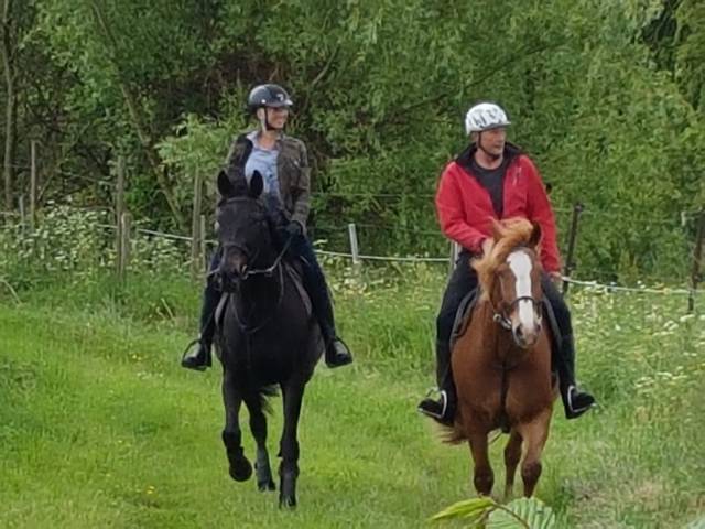 à cheval en pleine nature en forêt de lyons !