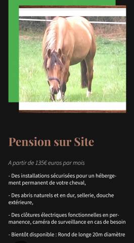 Pension familiale chevaux haute vienne