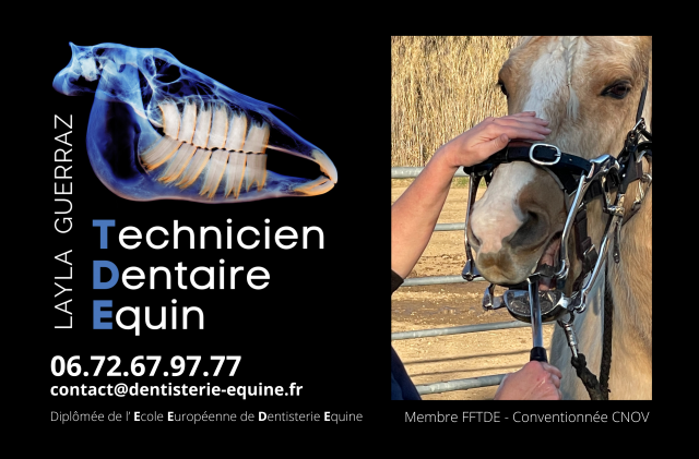 Layla guerraz - technicien dentaire equin
