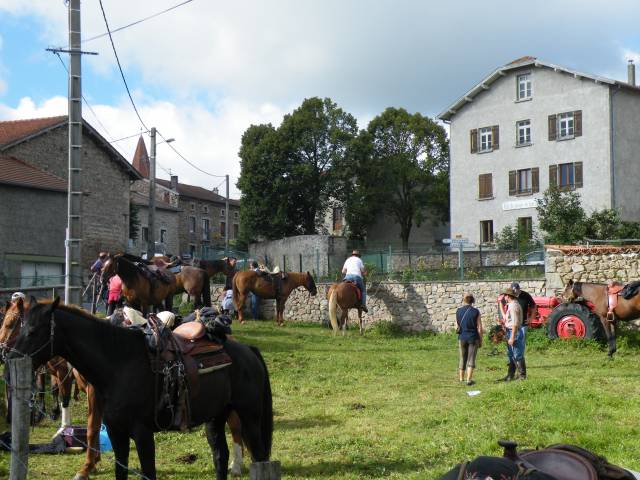 Gîte d'étape accueil des chevaux au pré