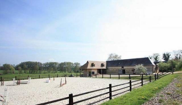 Pension pré/box- pré  - haras de beuvreuil (76)