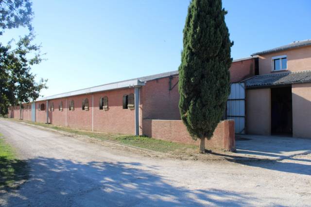 Propriete de 13 hectares dans la haute garonne