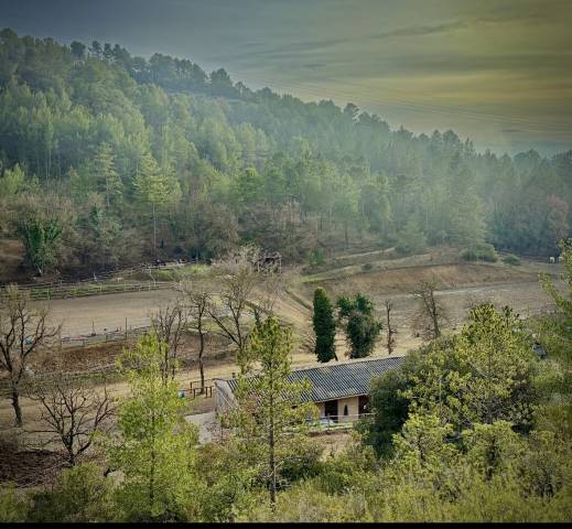 Centre équestre château laval - pension chevaux 04
