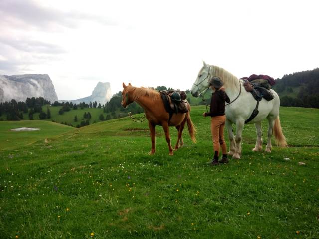 Week-end randonnée à cheval vercors
