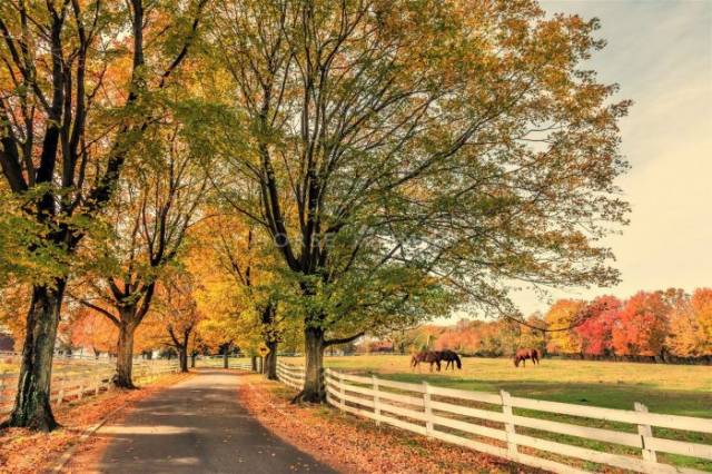 Superbe domaine equestre en région parisienne
