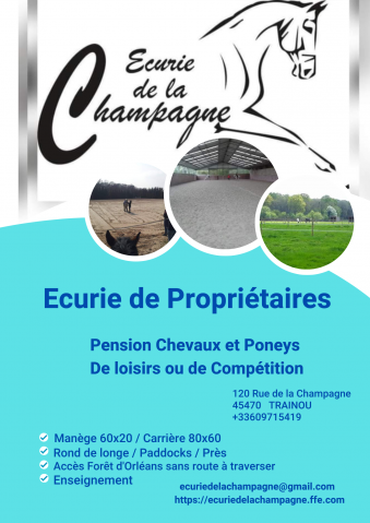 Ecurie de propriétaires - ecurie de la champagne (45)